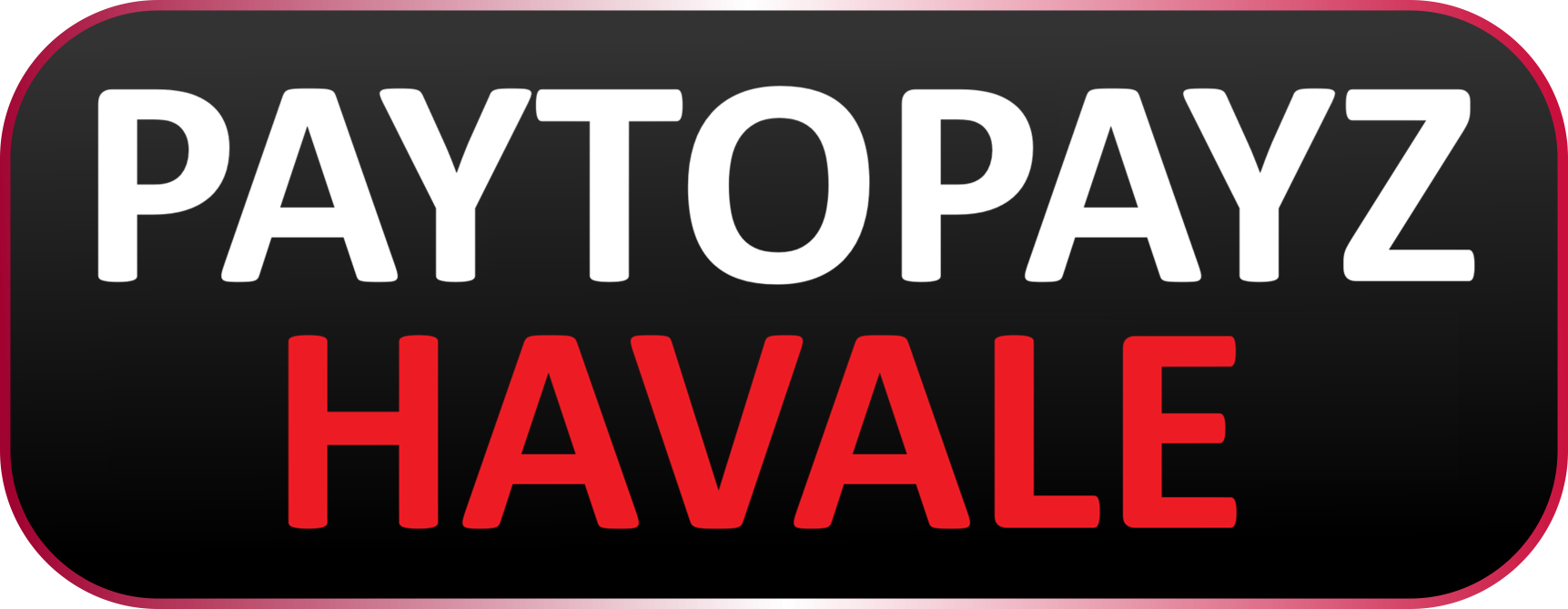 PAYTOPAYZ HAVALE